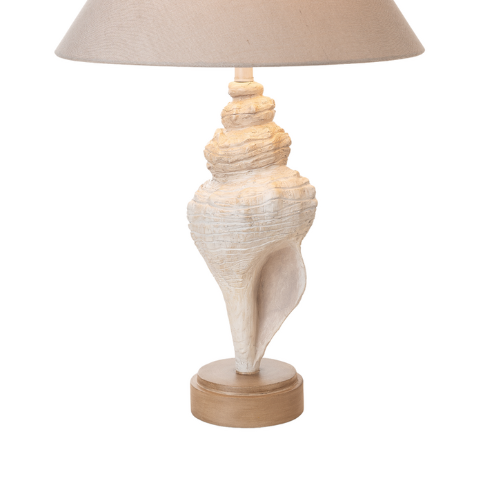 Lux Lighting Baldweyn Conch, 30 Seashell Coastal Table Lamps, (Set of 2) 3-Way Switch