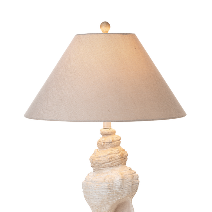 Lux Lighting Baldweyn Conch, 30 Seashell Coastal Table Lamps, (Set of 2) 3-Way Switch