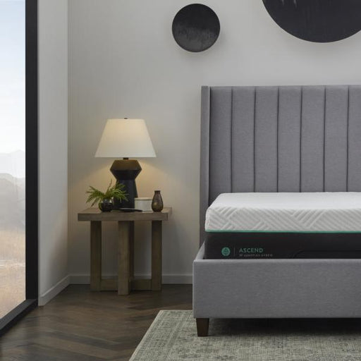 Ascend 14" AeroFlex  Hybrid Mattress